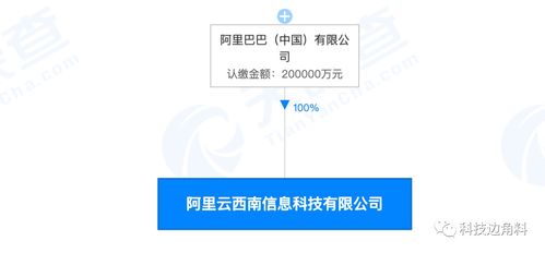 阿里巴巴成立阿里云西南科技公司，注冊資本20億元深耕計算機軟硬件技術(shù)開發(fā)